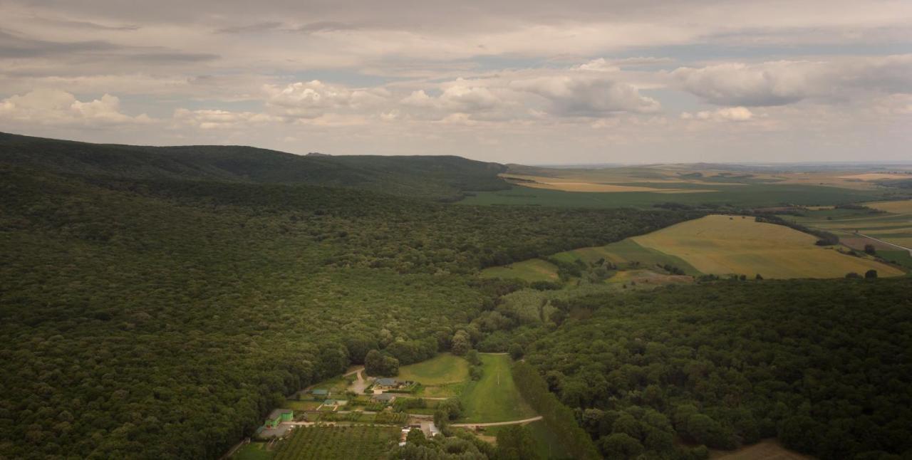 Agropensiunea Cetatuia Luncavita Exterior foto