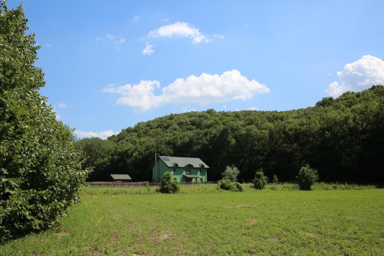 Agropensiunea Cetatuia Luncavita Exterior foto